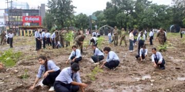 plant trees