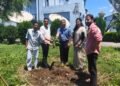 plantation