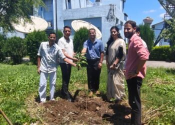 plantation
