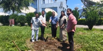 plantation