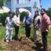 plantation