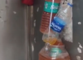Urine