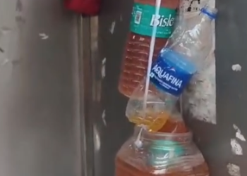 Urine