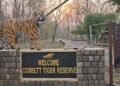 Corbett