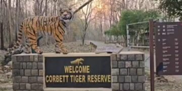 Corbett