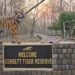 Corbett