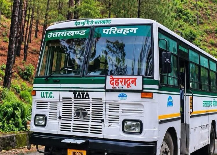 Bus