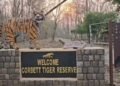 Corbett