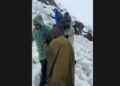 trekkers