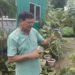 Haldwani