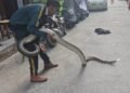 python