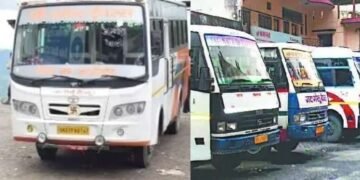 Bus