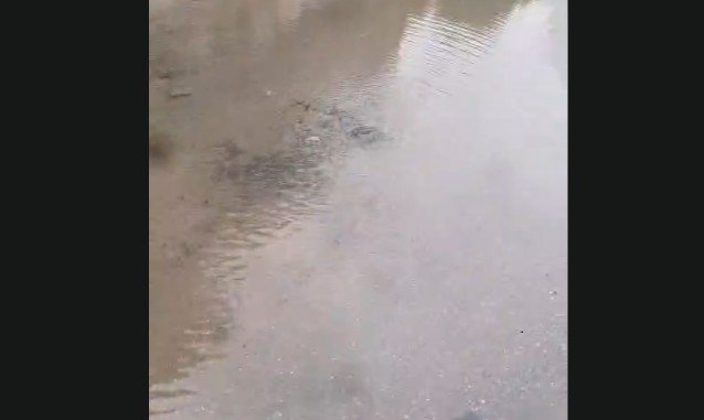 Road