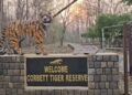 Corbett