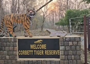 Corbett