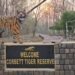 Corbett