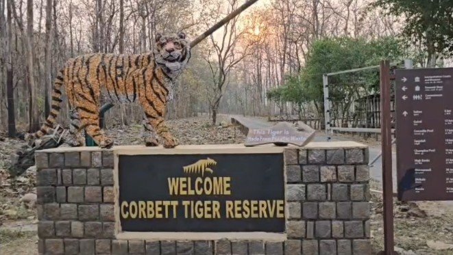 Corbett