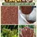 millets