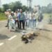 Protest