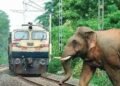 train