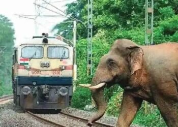 train