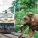 train